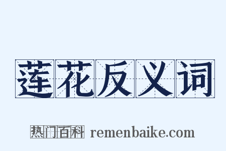 莲花反义词是什么意思的图片